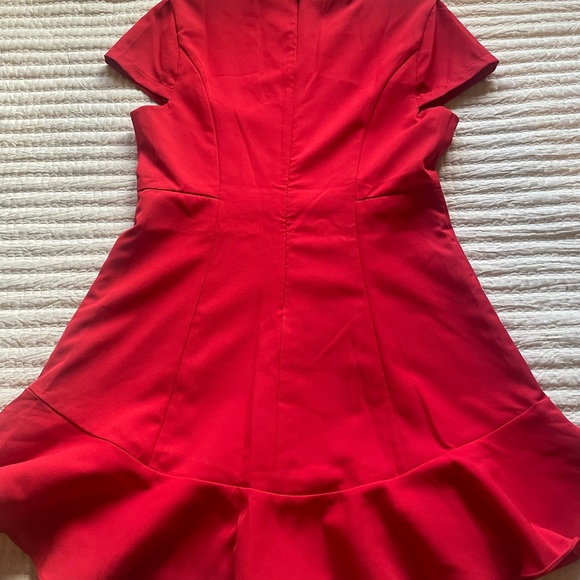 NWT, never worn, lined, Red Dress - Picture 5 of 6